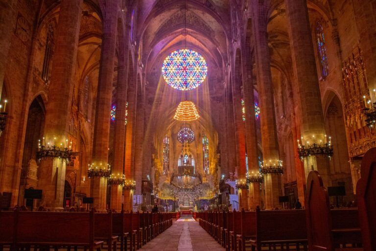 Actividades de la Catedral de Mallorca para el mes de enero