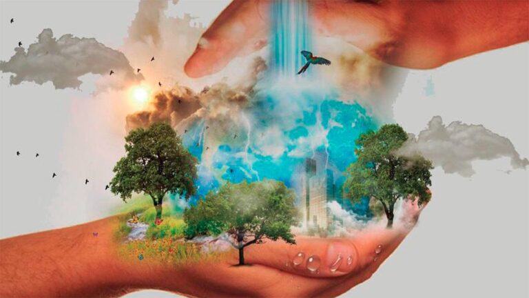 Palma se suma a la celebración del Día Mundial del Medio Ambiente