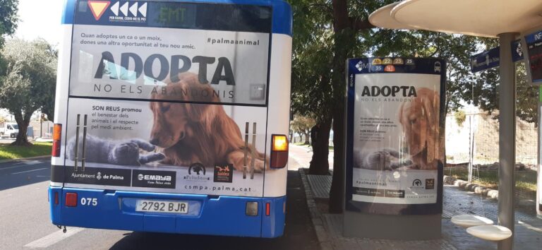 Se presenta la campaña «ADOPTA, no los abandones»