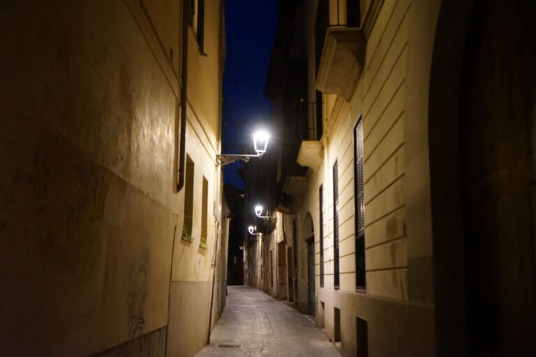 Palma quiere ser más resiliente y saludable