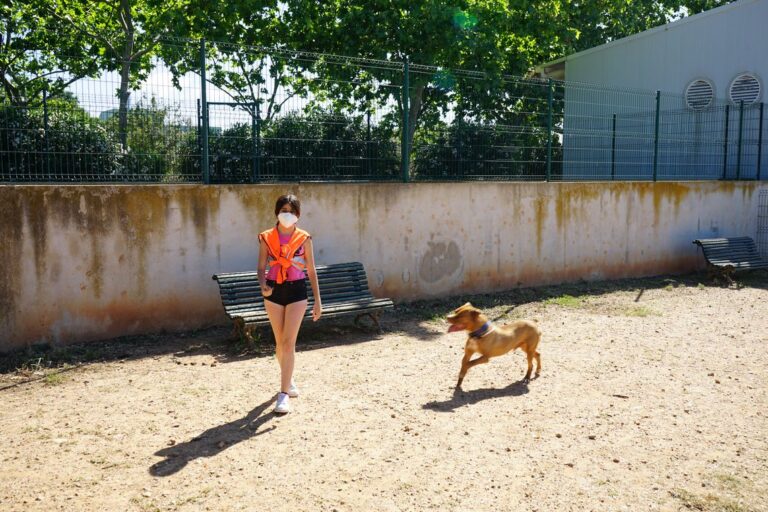 Cort hace balance del Centre de Benestar Animal de Son Reus