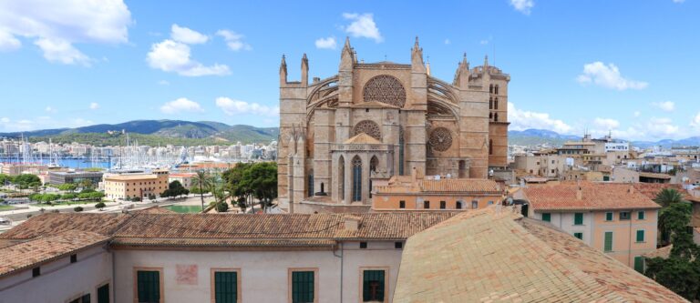 Palma integrada en el proyecto europeo BioDiverCities