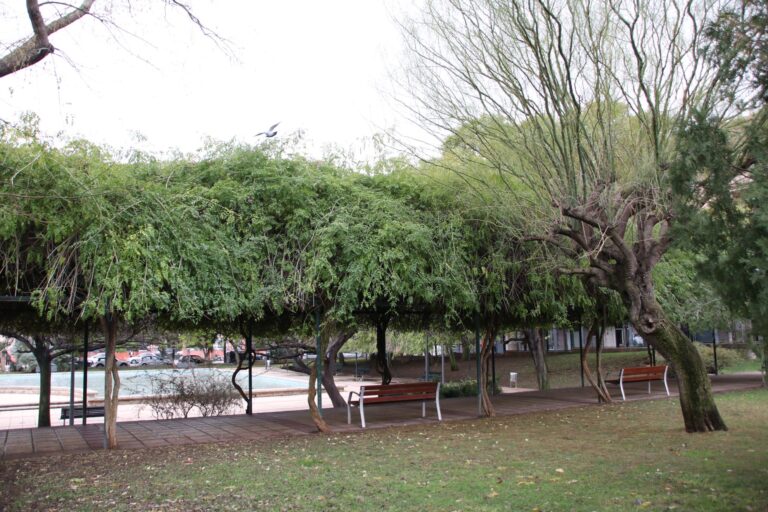 Reapertura de los Parques Públicos de Palma
