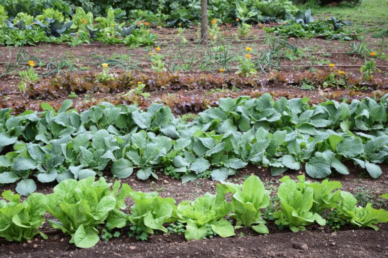 Mallorca quiere cerrar el círculo de la materia orgánica