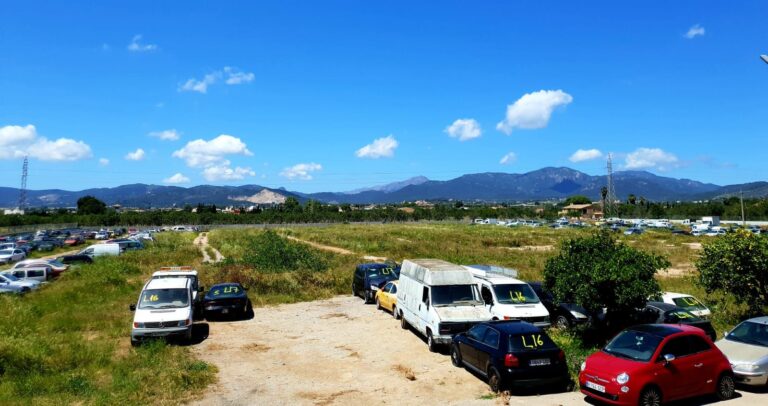 1300 vehículos sacados del depósito de Son Toells