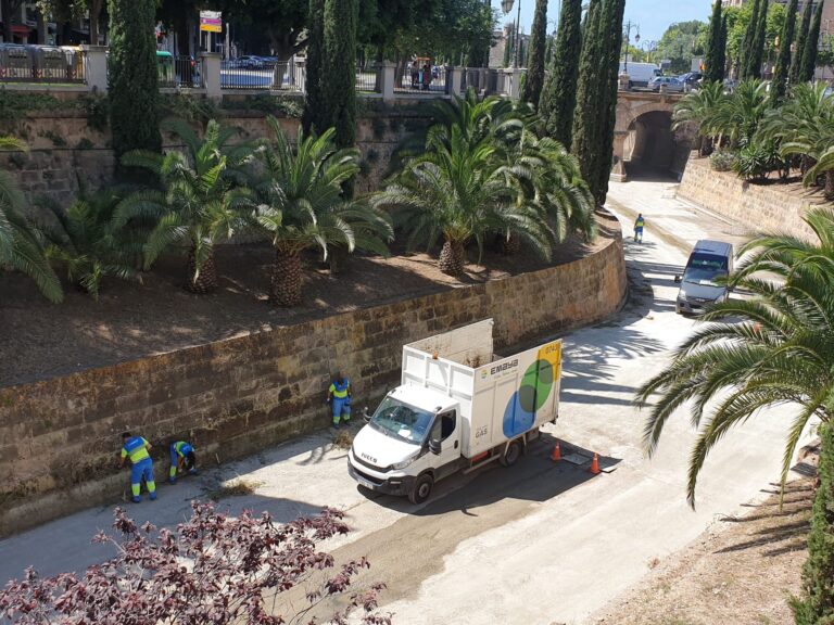 EMAYA realiza estos días la limpieza anual de sa Riera