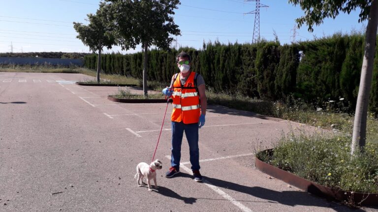 Son Reus retoma el voluntariado para la atención de los animales acogidos