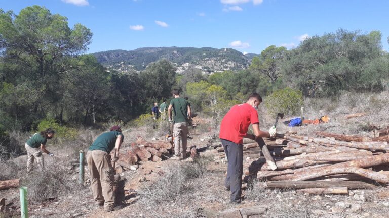 Reforestación en Bellver con la siembra de 230 árboles y arbustos