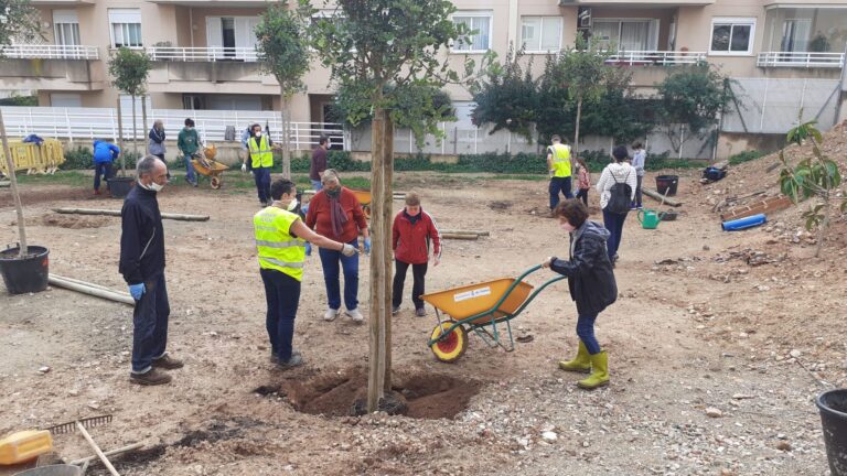 Los vecinos de Son Dameto siembran 18 árboles