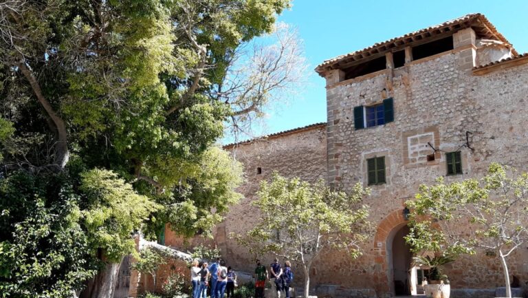 Ocho possessions de la Serra de Tramuntana abren sus puertas