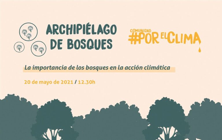 La importancia de los bosques en la acción climática