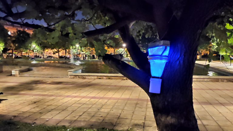 La UIB estudia la fauna de insectos en los parques de Palma