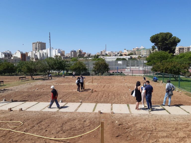 86 asociaciones cultivarán los huertos ecosociales de Palma