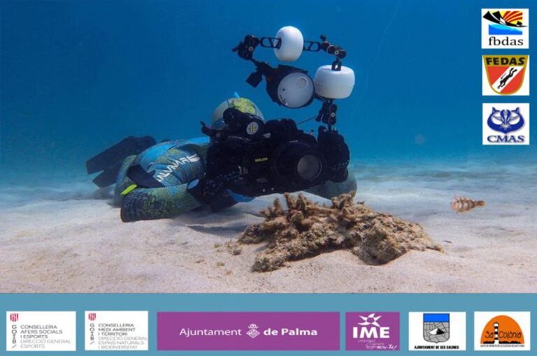 Primera diada Cercaespecie de peixos en Cabrera