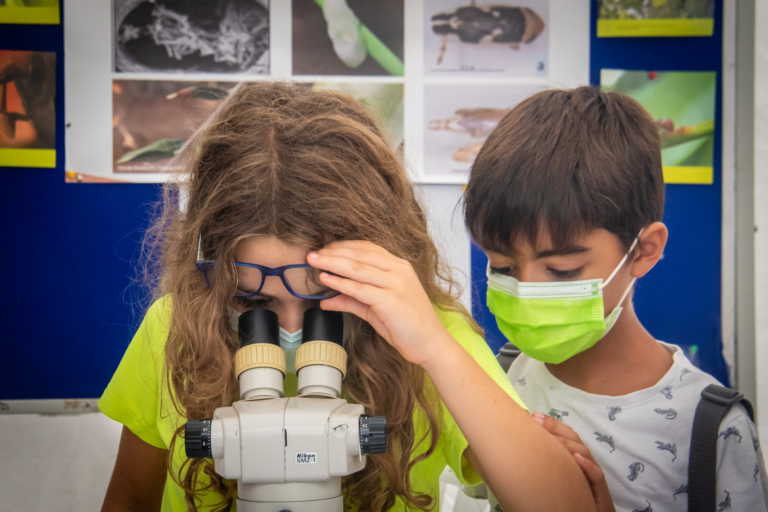 La UIB impulsa seis proyectos de divulgación científica