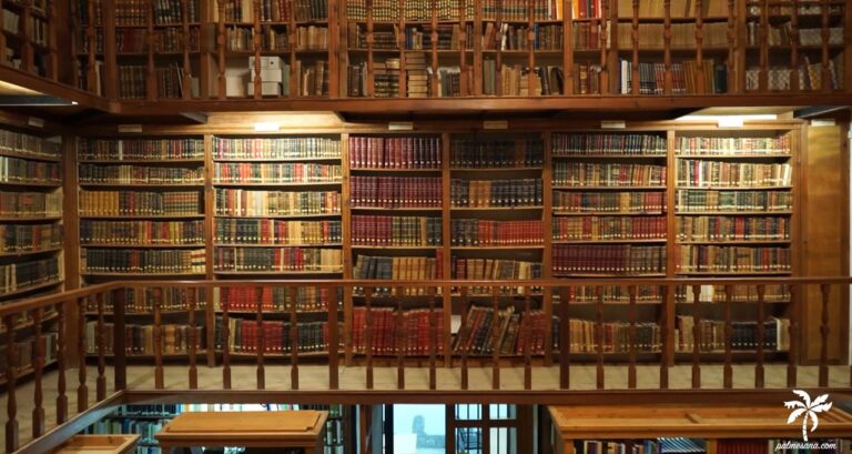 Las Bibliotecas Municipales serán accesibles e inclusivas