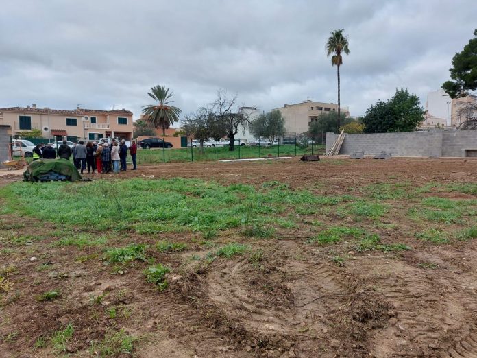 Los nuevos huertos comunitarios de Son Flor