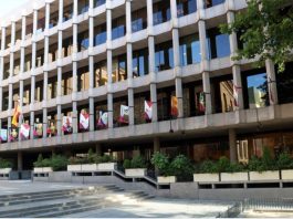 El Ministerio de Cultura y Deporte miembro de Es Baluard