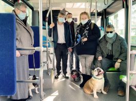 La EMT permitirá subir con mascotas en toda la red