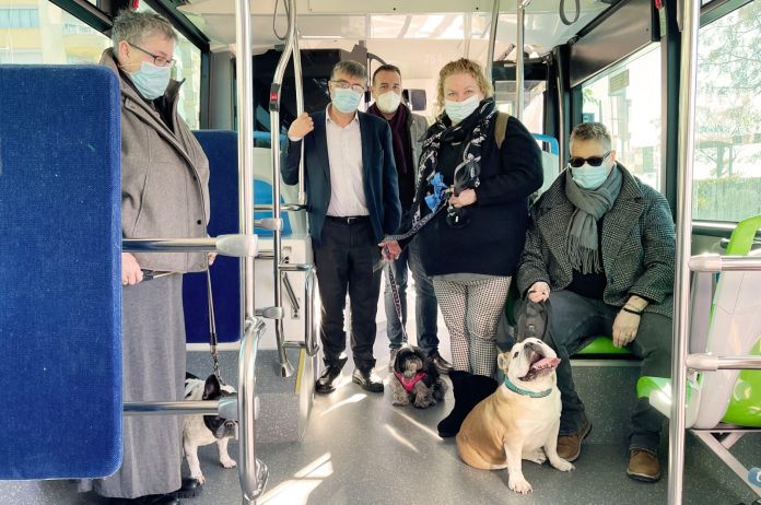 La EMT permitirá subir con mascotas en toda la red