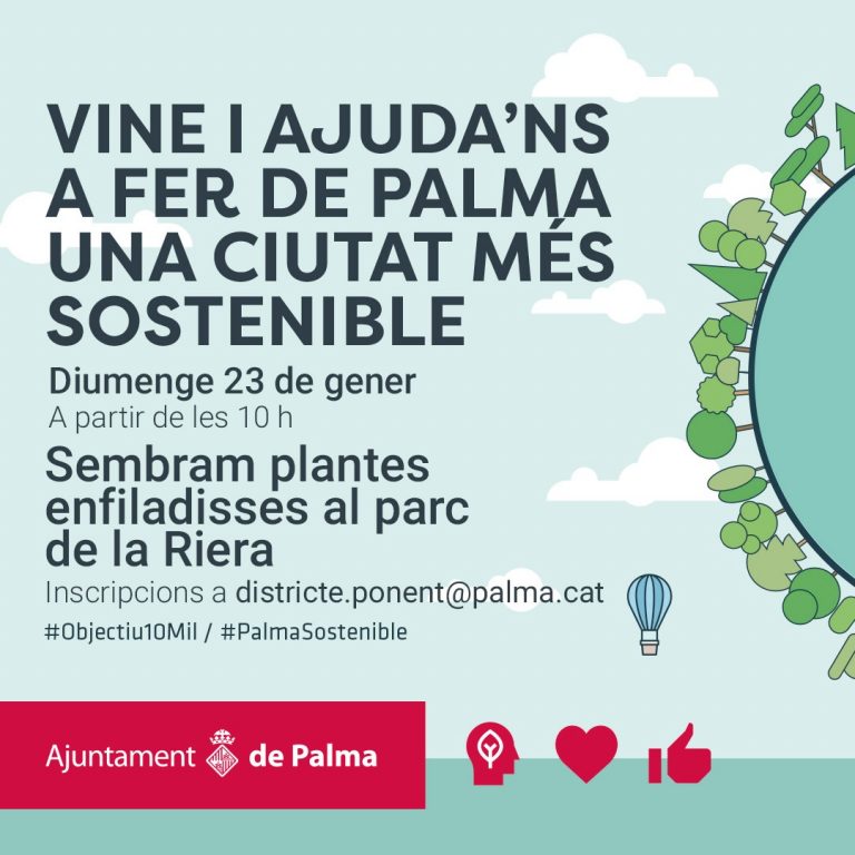 Siembra popular de plantas trepadoras