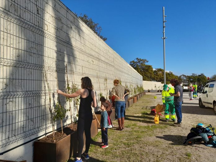 Entidades y vecinos participan en la siembra de plantas trepadoras en sa Riera