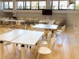 La UIB impulsa el doble grado en Educación Infantil y Primaria