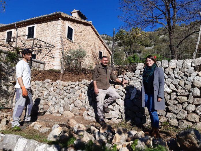 Los margers del Consell trabajan para mejorar la Ruta de Pedra en Sec