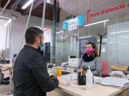PalmaActiva dio de alta 67 empresas en 2021