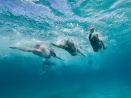 Más de 500 nadadores participan en la Marnatón eDreams Formentera by Baleària