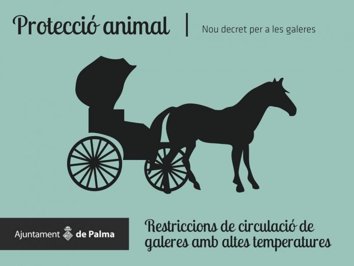 A partir del 25 de agosto las galeras no podrán circular con alerta por temperaturas altas