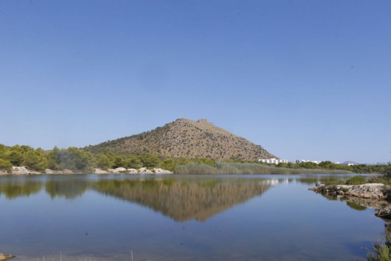 Proyecto de recuperación del Estany dels Ponts y Maristany