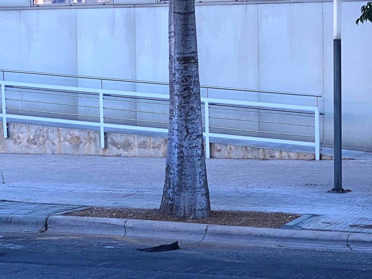 Empiezan las mejoras de las infraestructuras de los polígonos de Son Castelló y Can Valero