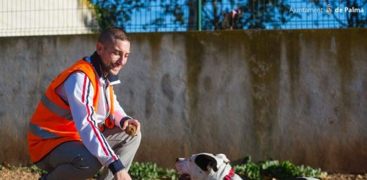 244 perros y 214 gatos han salido en adopción del Centro de Bienestar Animal de Son Reus