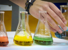 La UIB crea el Área de Investigación para reforzar el soporte técnico y administrativo a la investigación