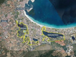 proyecto para restaurar el corredor ecológico de zonas húmedas de la bahía de Alcúdia