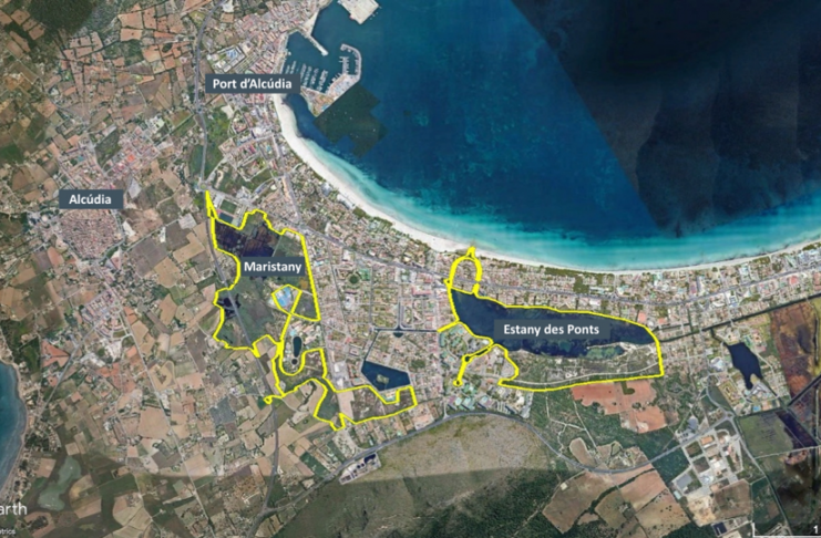 proyecto para restaurar el corredor ecológico de zonas húmedas de la bahía de Alcúdia