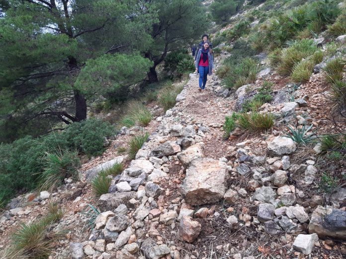 recuperación de los márgenes del camino Vell del Far de Formentor