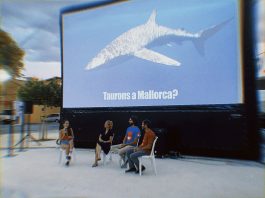 Muestra de cine de Surf sobre la Sostenibilidad, Superación Personal e Integración