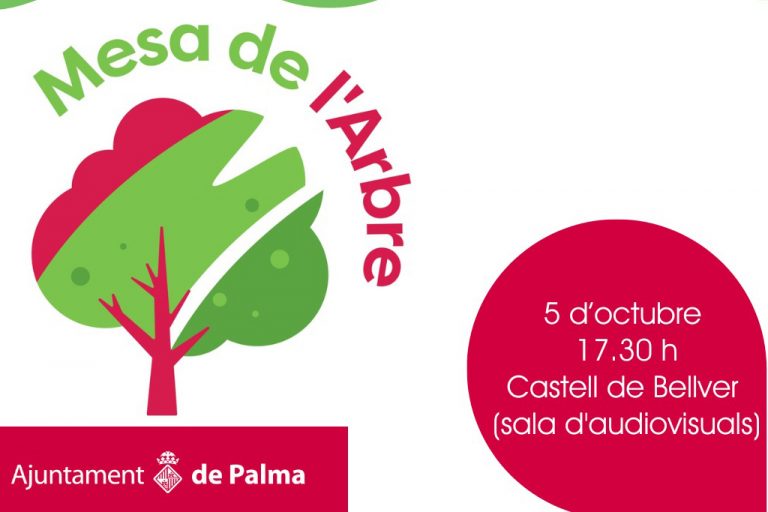 Se convoca la Mesa del Árbol para dar a conocer el «Plan de arbolado de Palma»