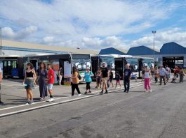 Éxito de la primera jornada de puertas abiertas a familias en las cocheras de la EMT Palma