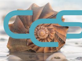 600 investigadores se reunen en Palma para participar en el Conference on Complex Systems CCS 2022