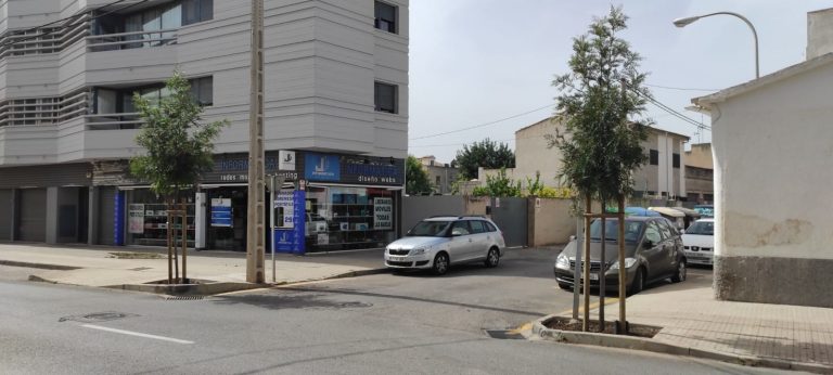 Siembra de 48 árboles en la avenida del Cid de Son Ferriol