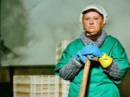 actividades para impulsar el papel de las mujeres rurales en el sector agroalimentario