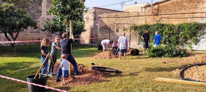 Siembra popular de árboles en Son Puig de Dalt