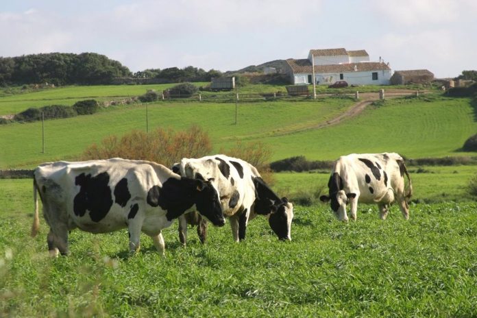 Más de 2.100 ganaderos y citricultores de Illes Balears han recibido ayudas