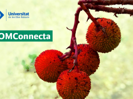 l 8 de noviembre comienza el primer curso de UOMConnecta sobre proyectos urbanos de los siglos XX y XXI