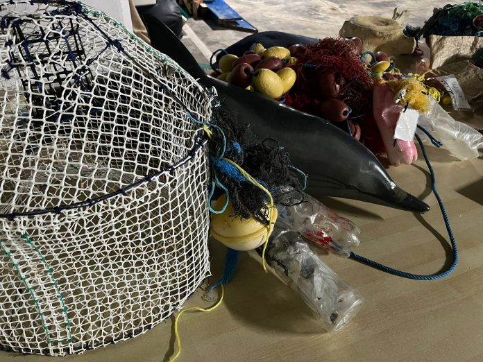 Redes a la deriva y plásticos, una amenaza para delfines y ballenas en las aguas baleares