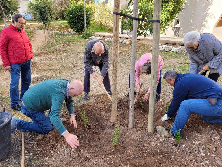 Un centenar de personas participa en la siembra de más de 300 plantas arbustivas en el parque de la calle Andreu Jaume y Nadal de Son Dameto