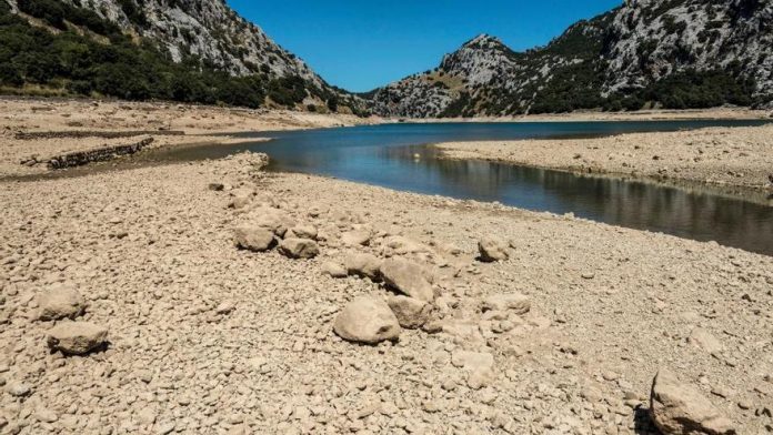 Palma en prealerta por sequía